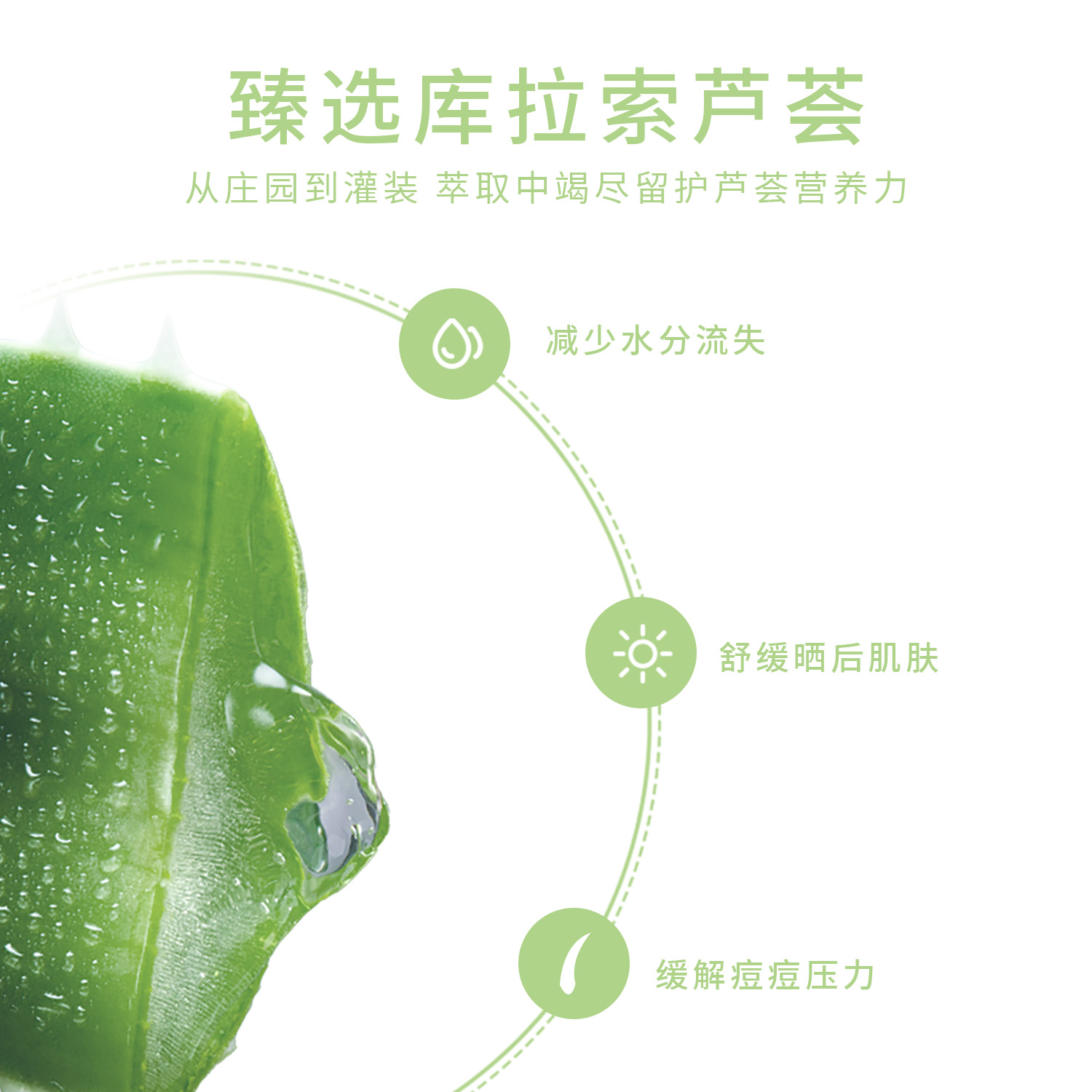 产品展示缩略图