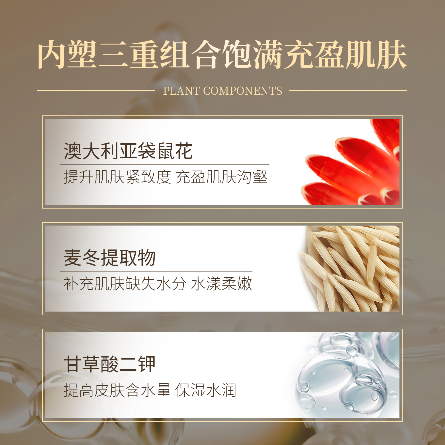 产品展示缩略图