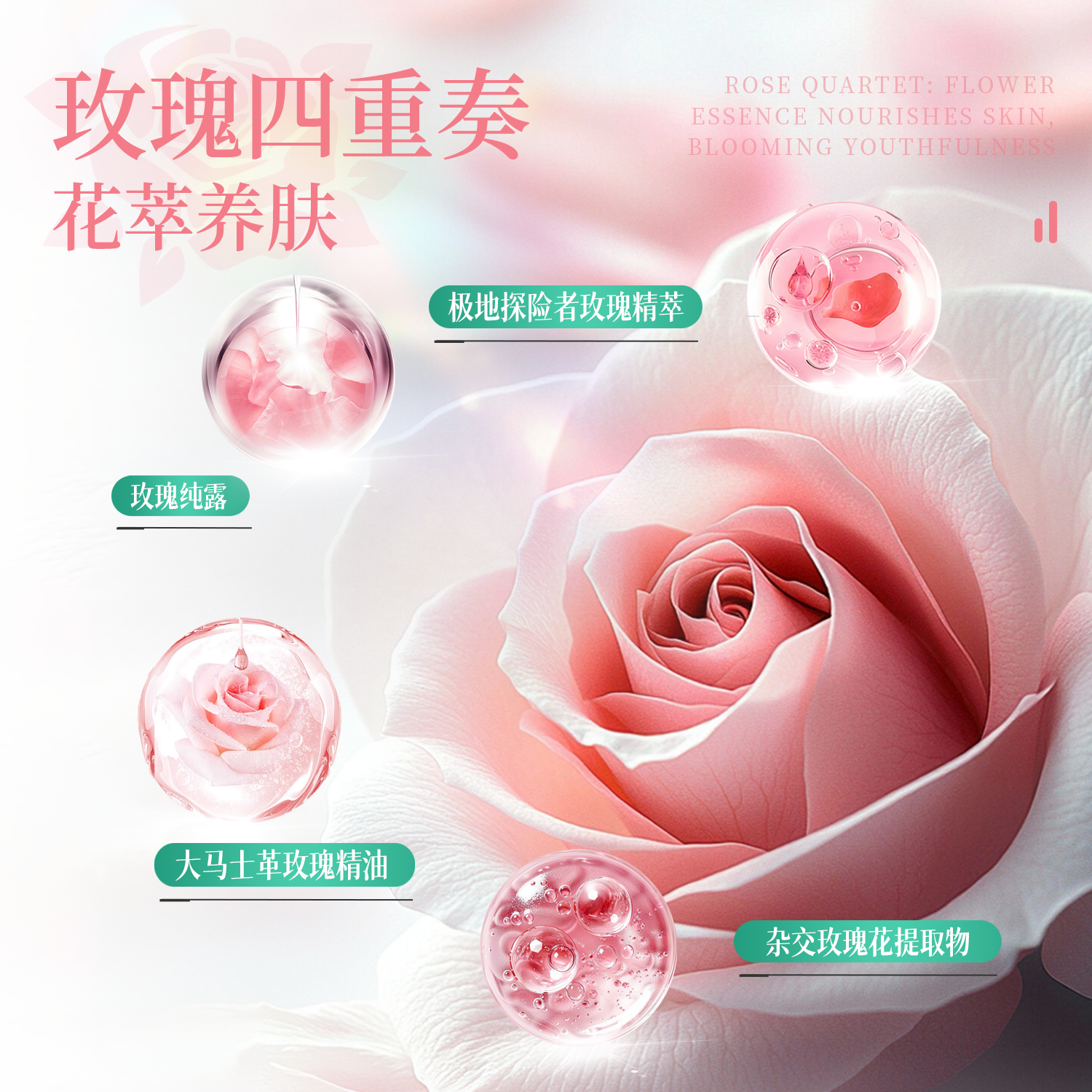 产品展示缩略图