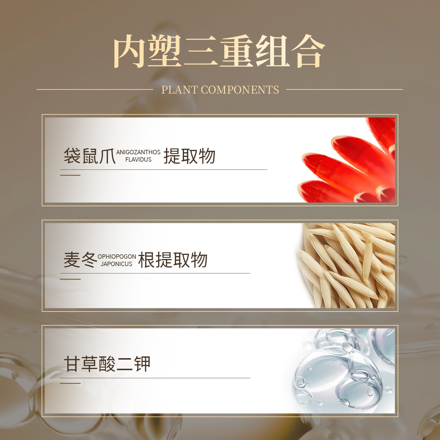 阿美妍 玻色因抗皱面霜（新） 产品展示缩略图